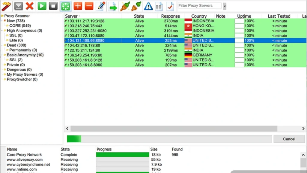 Proxy Switcher Standard Product Key