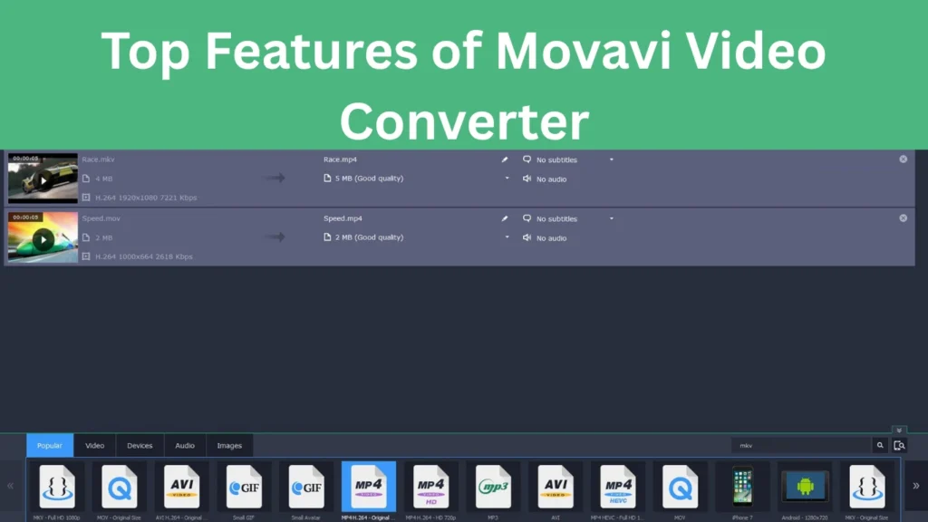 Movavi Video Converter
