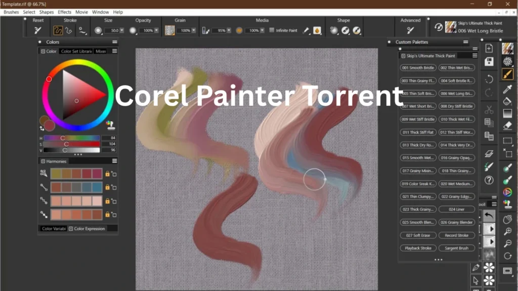 Corel Painter Torrent 