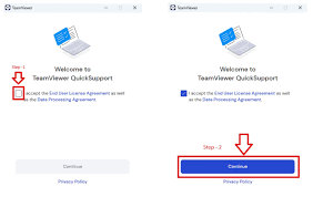 TEAM VIEWER LICENSE KEY